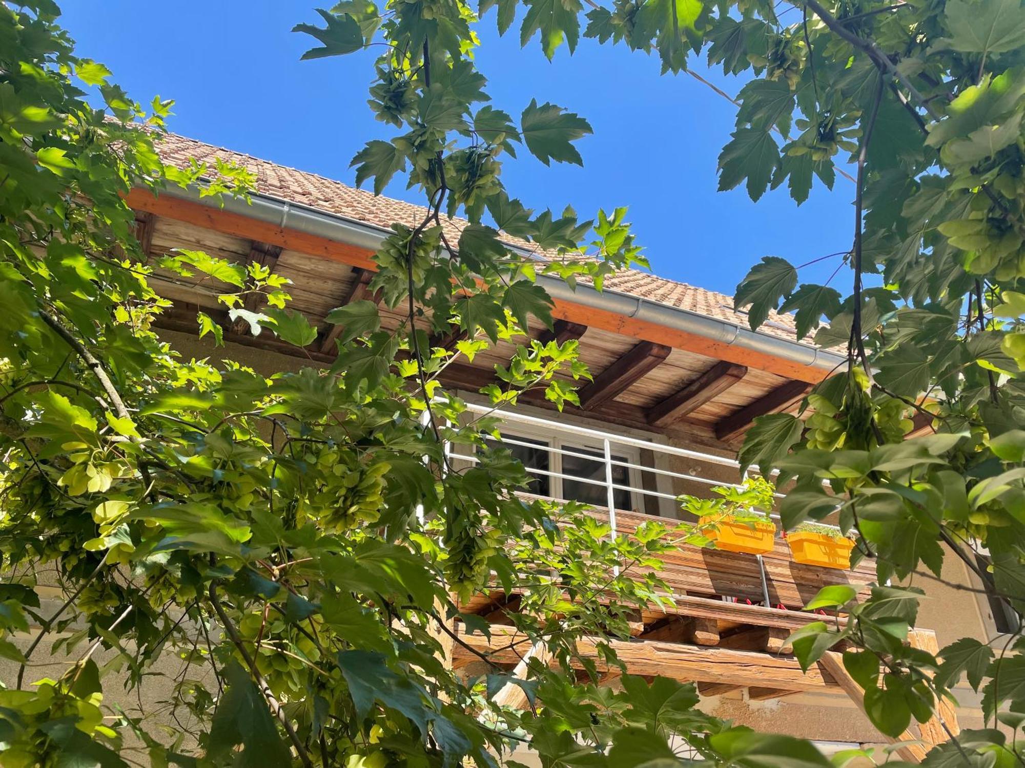 La Grange De Sophie Apartman Berstett Kültér fotó